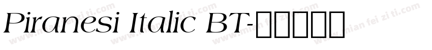Piranesi Italic BT字体转换